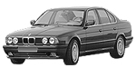 BMW E34 DF095 Fault Code